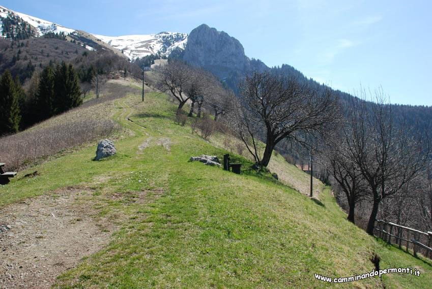 096 saliamo verso la cascina Casentiga.JPG